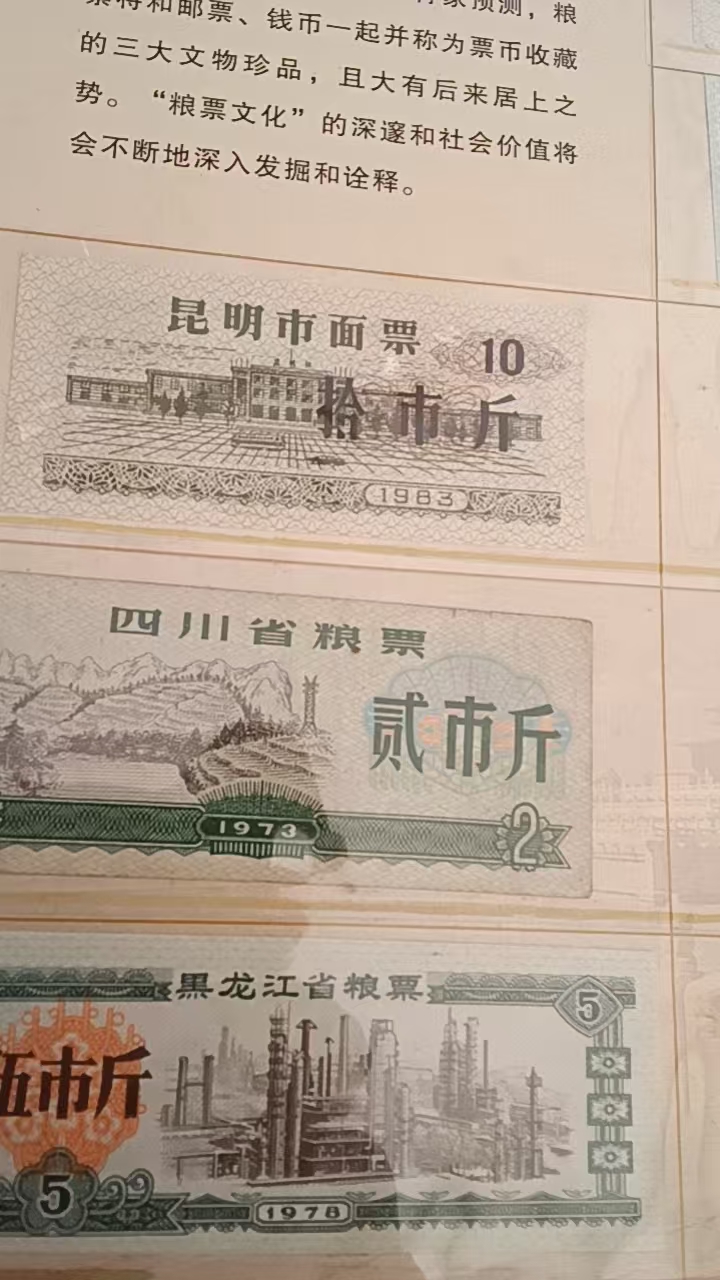 15136d81-507b-4125-a74e-7f3c9779d2b1