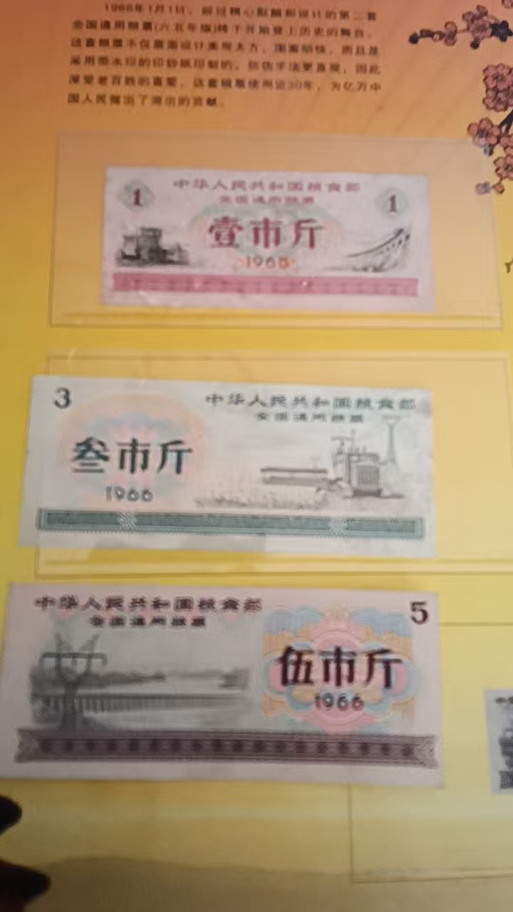 e70d49ab-9b27-4747-9958-2d722d61eb8f