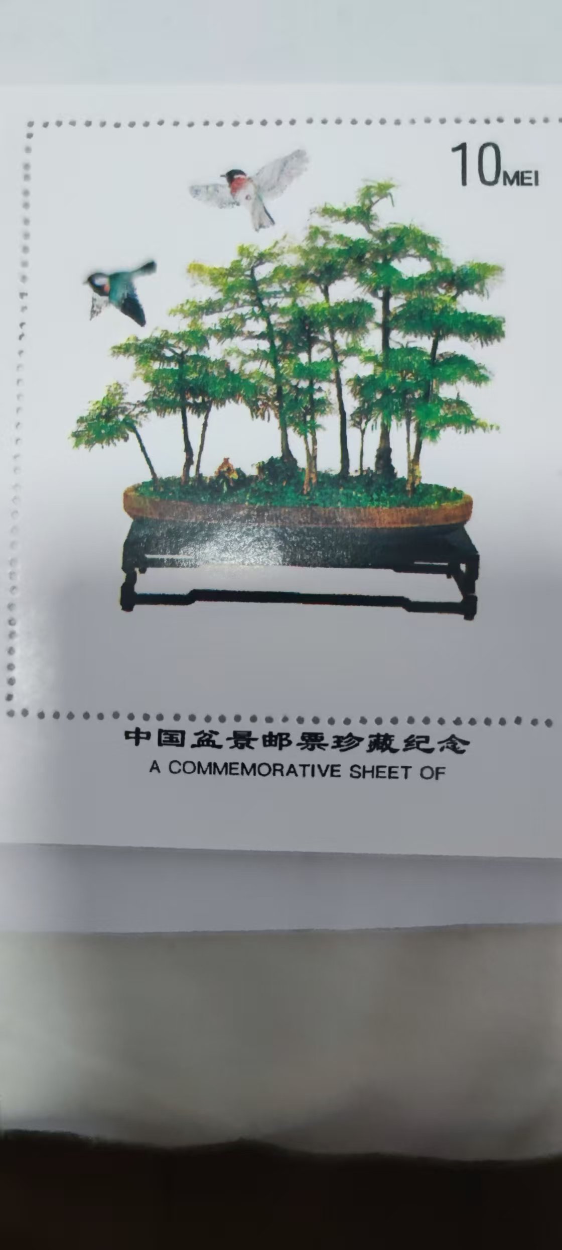 4c74221e-09b0-46e1-a915-5d638b81410e