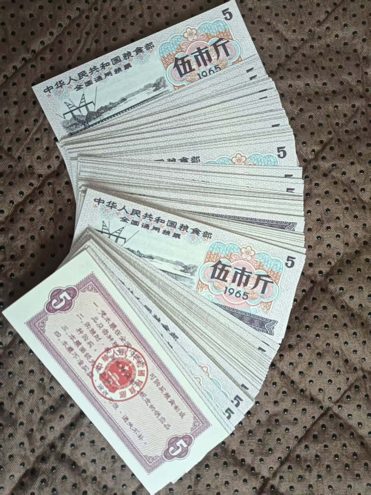 f9fad3ed-c424-45ae-8a8b-025bb3d91169